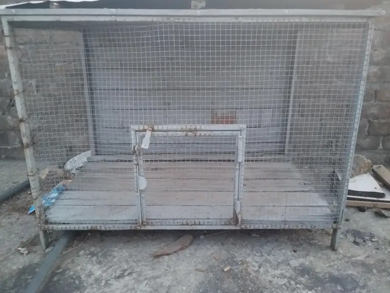 Heavy Duty Large Iron Cage for Sale (Birds / Poultry / Rabbits) — photo 4