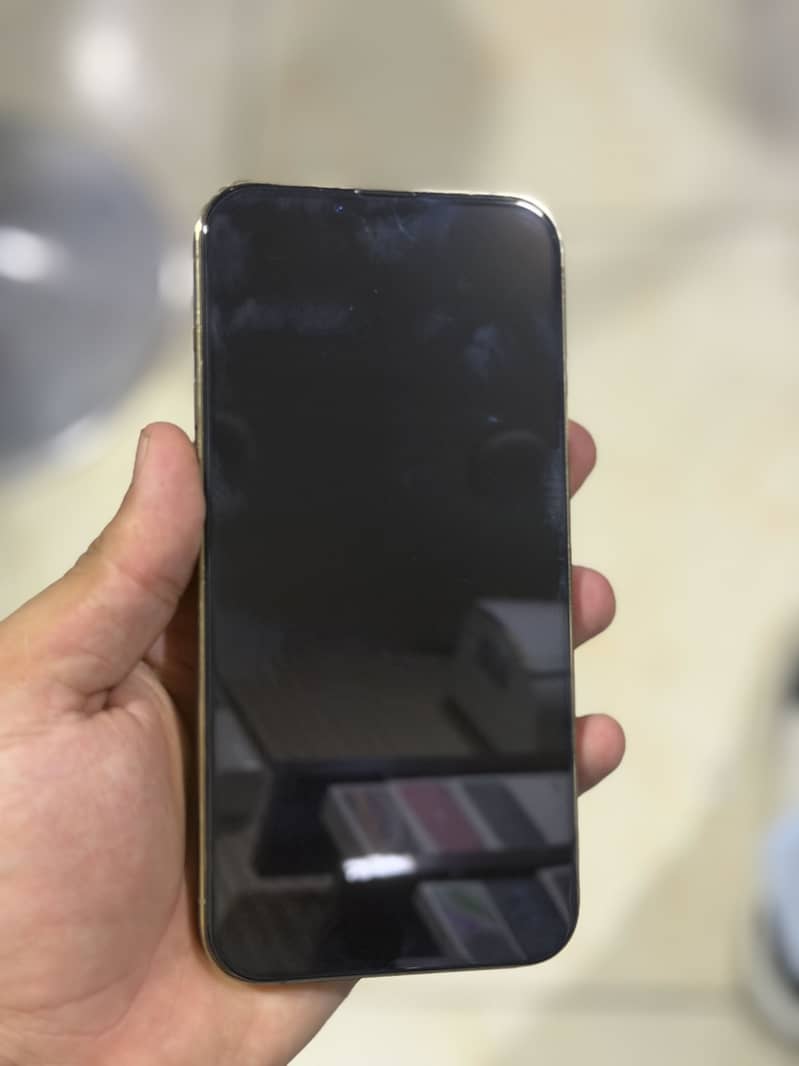 Apple iPhone 13 Pro Max 3