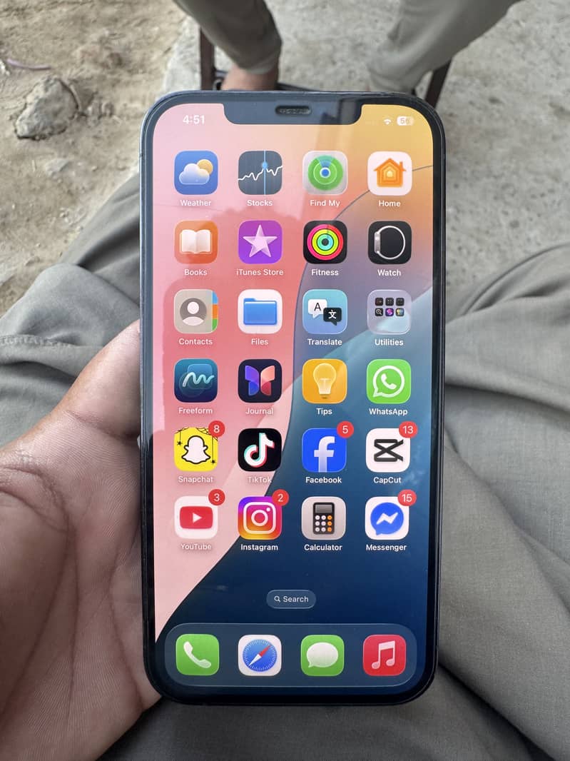 Apple iPhone 12 Pro Max 1