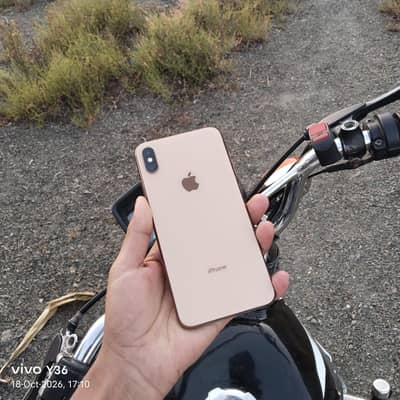 Apple iPhone Xs max