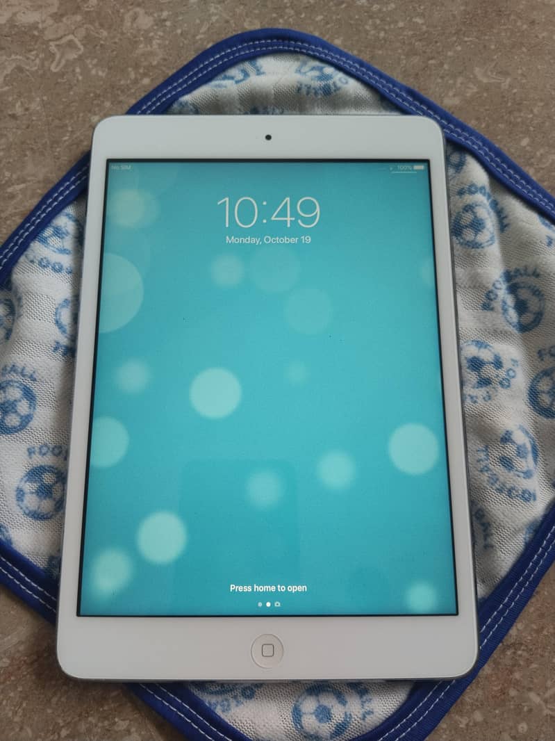 ipad mini2 4