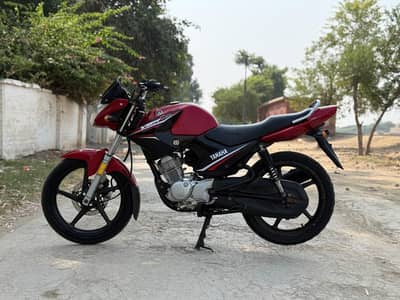 YAMAHA YBR ESD 03313939676