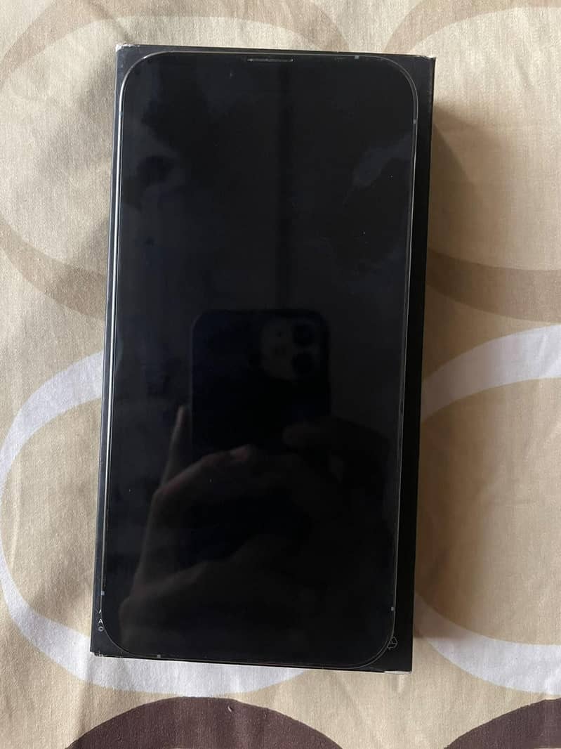 Apple iPhone 13 Pro 2