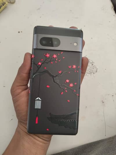 google pixel 7