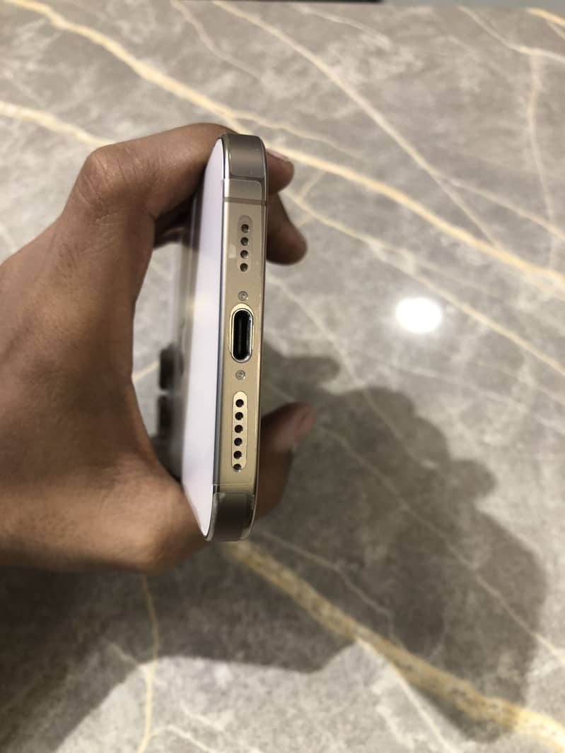 Apple iPhone 16 pro max 4