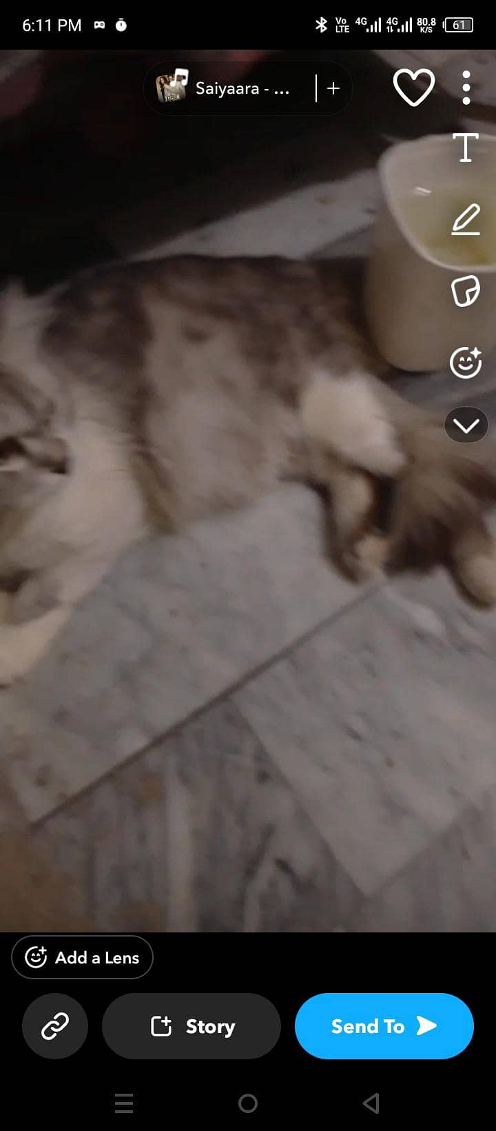 sell cat 2