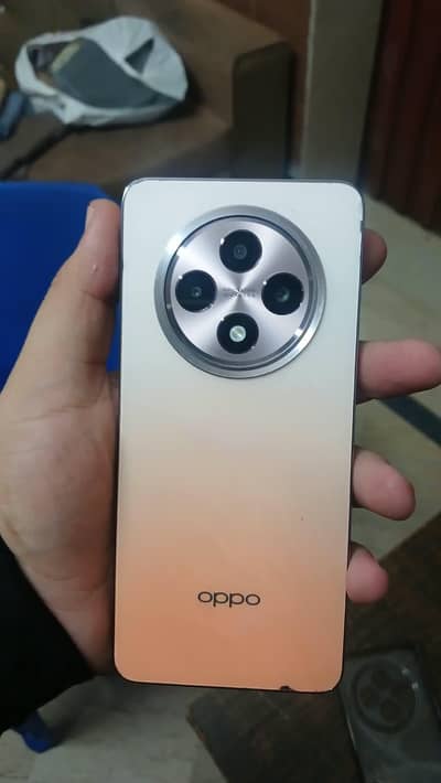 OPPO Reno12 F 5g 12/256 with box and charger