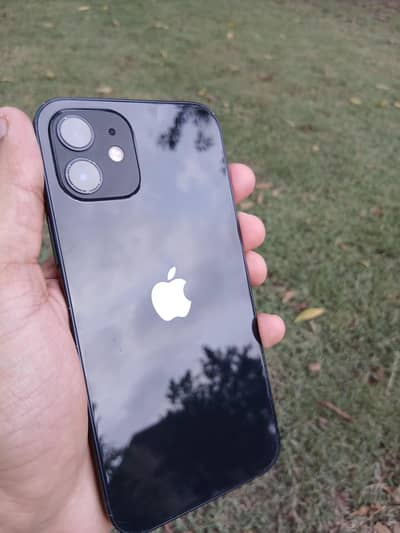 iPhone 12 Jv