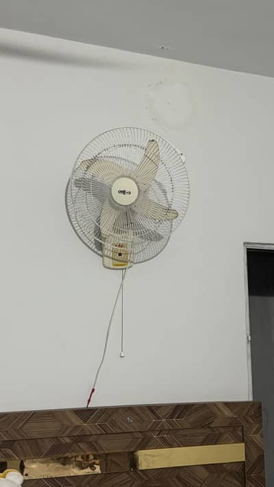Fan for wall