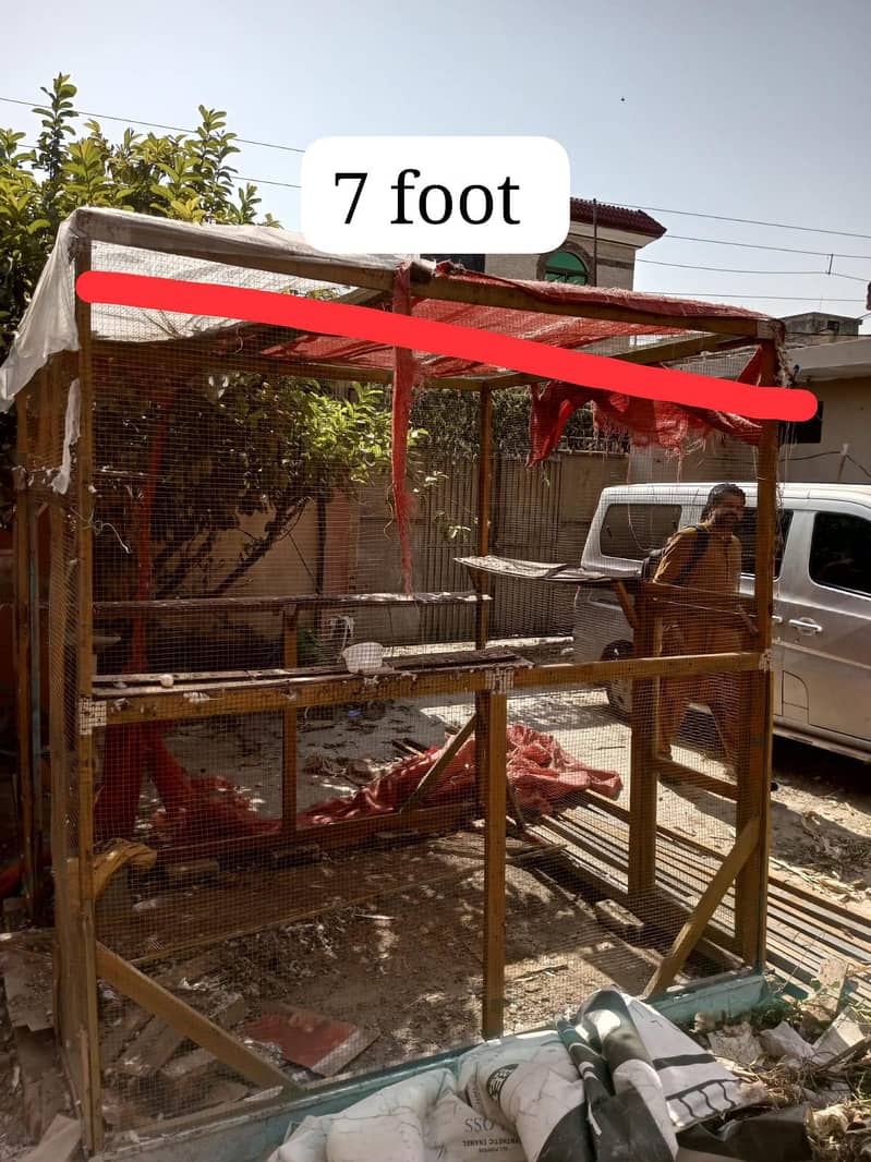 Kabootar Jala available 2