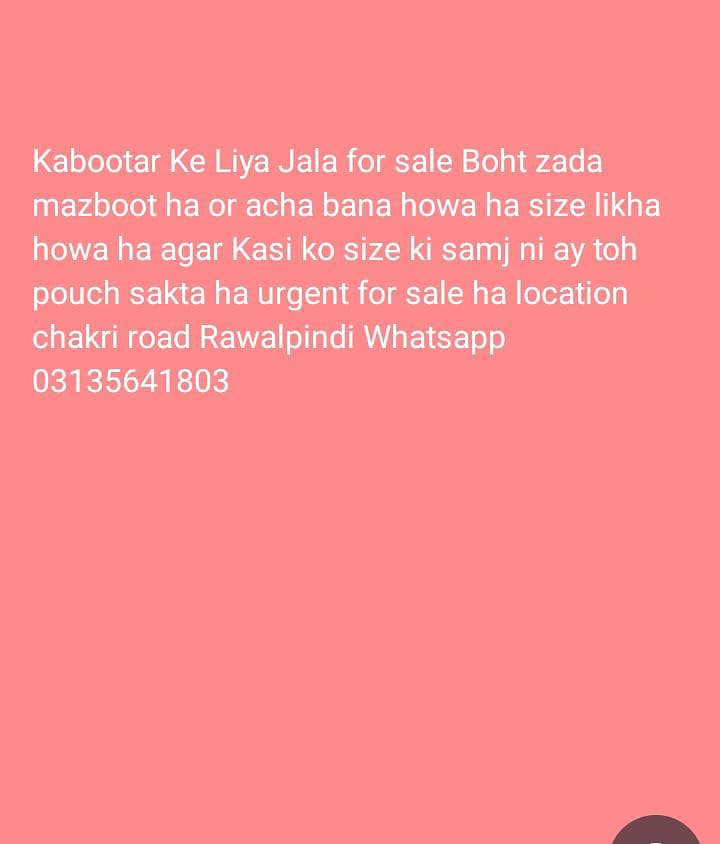 Kabootar Jala available 11