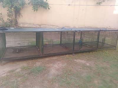 Khudaa For sale