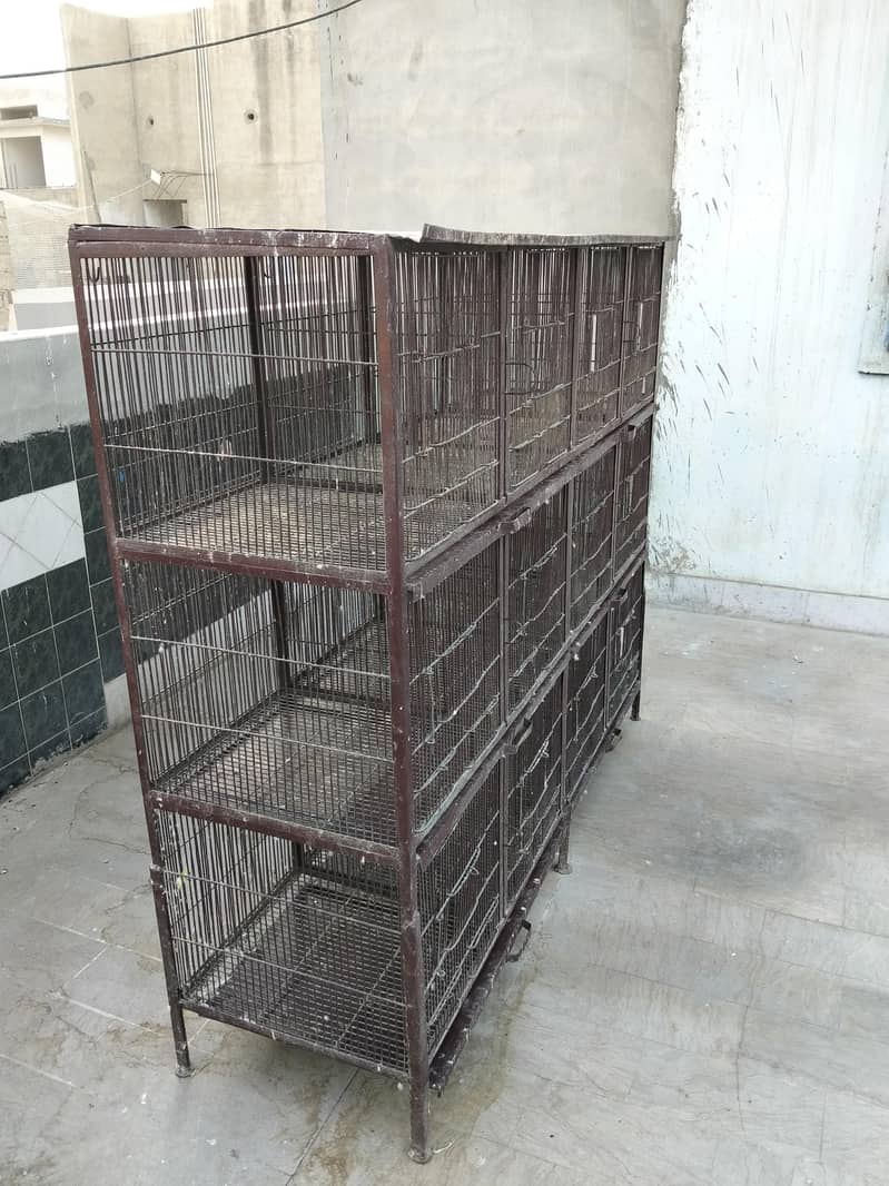 Cages 1