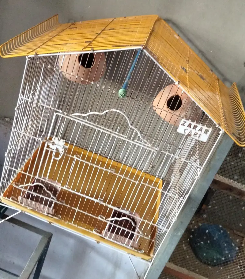 Cages — photo 4