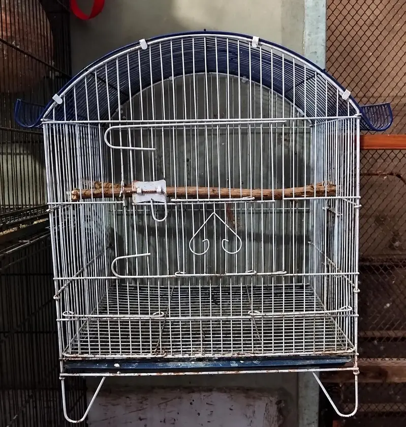 Cages — photo 5