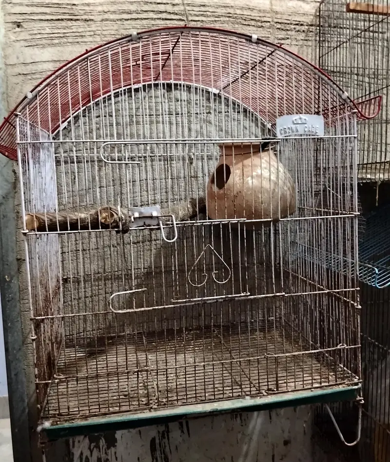 Cages — photo 6