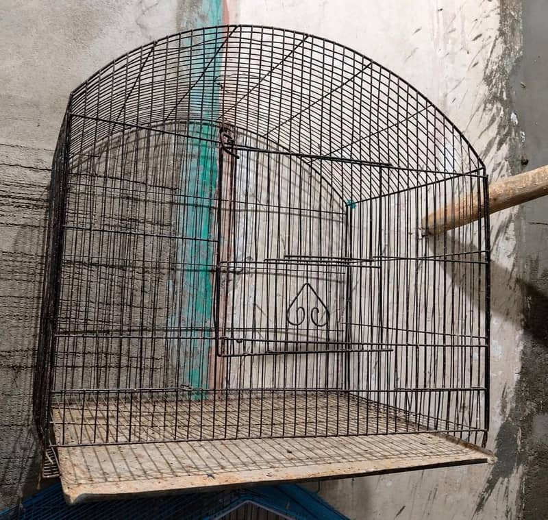 Cages 6