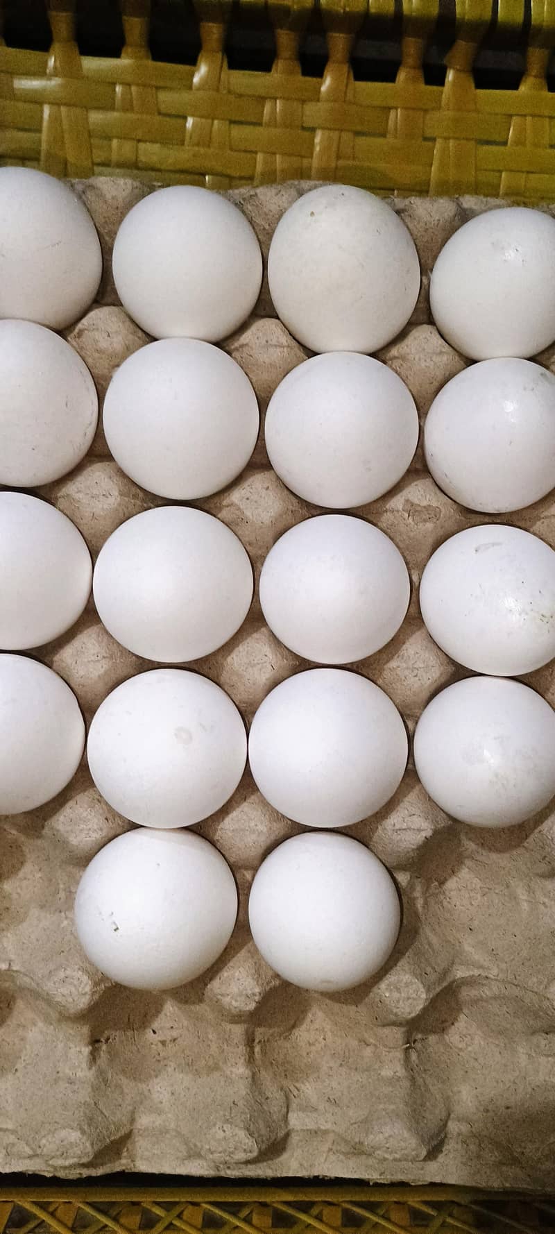 desi egg 0