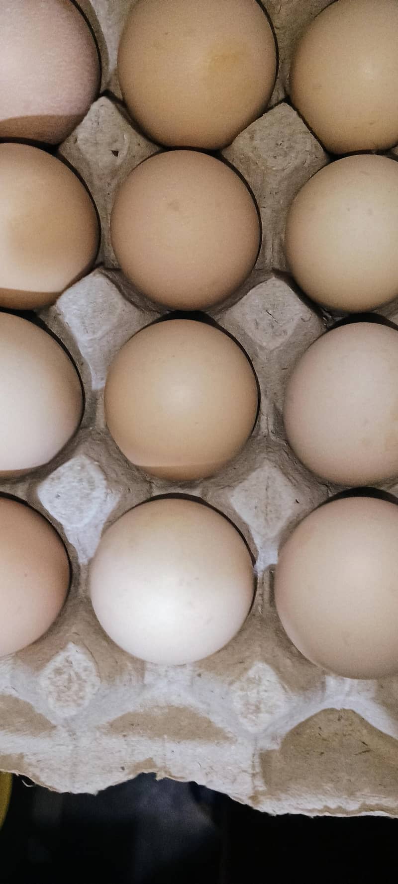 desi egg 1