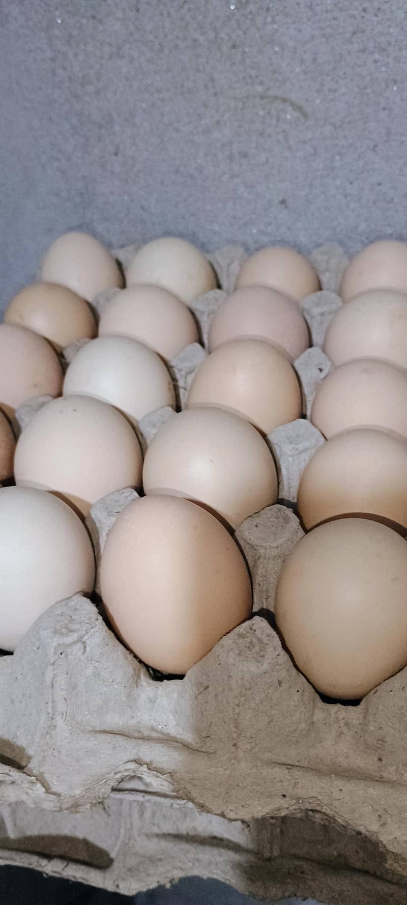 desi egg 2