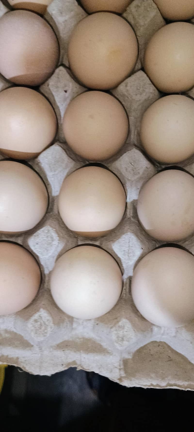 desi egg 3