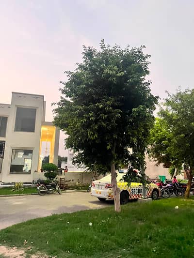 705 Block A 7 Marla Residential Plot for Sale in New Lahore City Phase 2