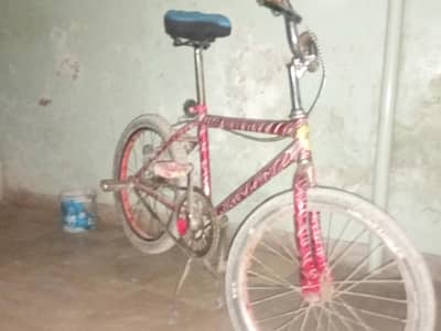 52 12 cycle bike chain and spring seat