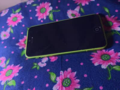 Apple iPhone 5c panel with camera and home button