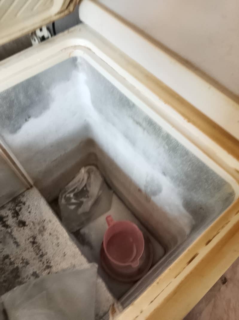D freeze 3