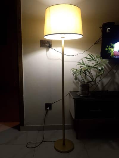 floor lamp and bookshelf for sale
