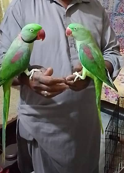 raw tame pair