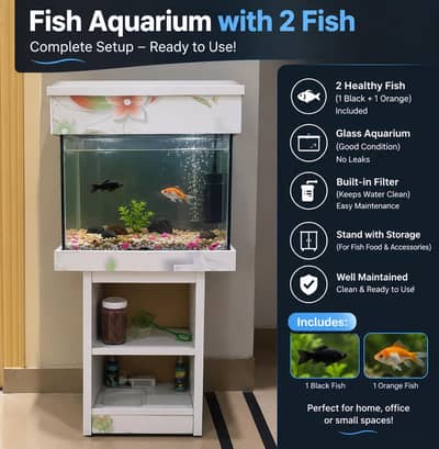 Fish Aquarium with 2 Fish for Sale