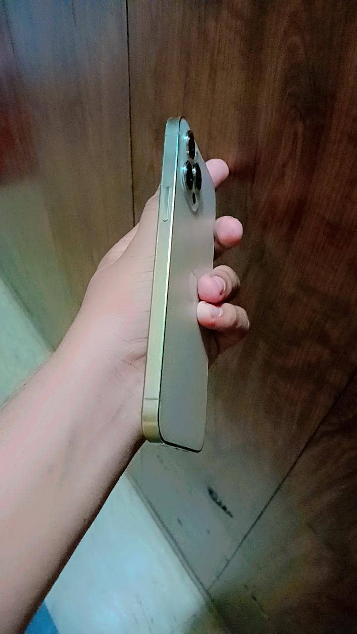 Apple iPhone 12 Pro Max 1