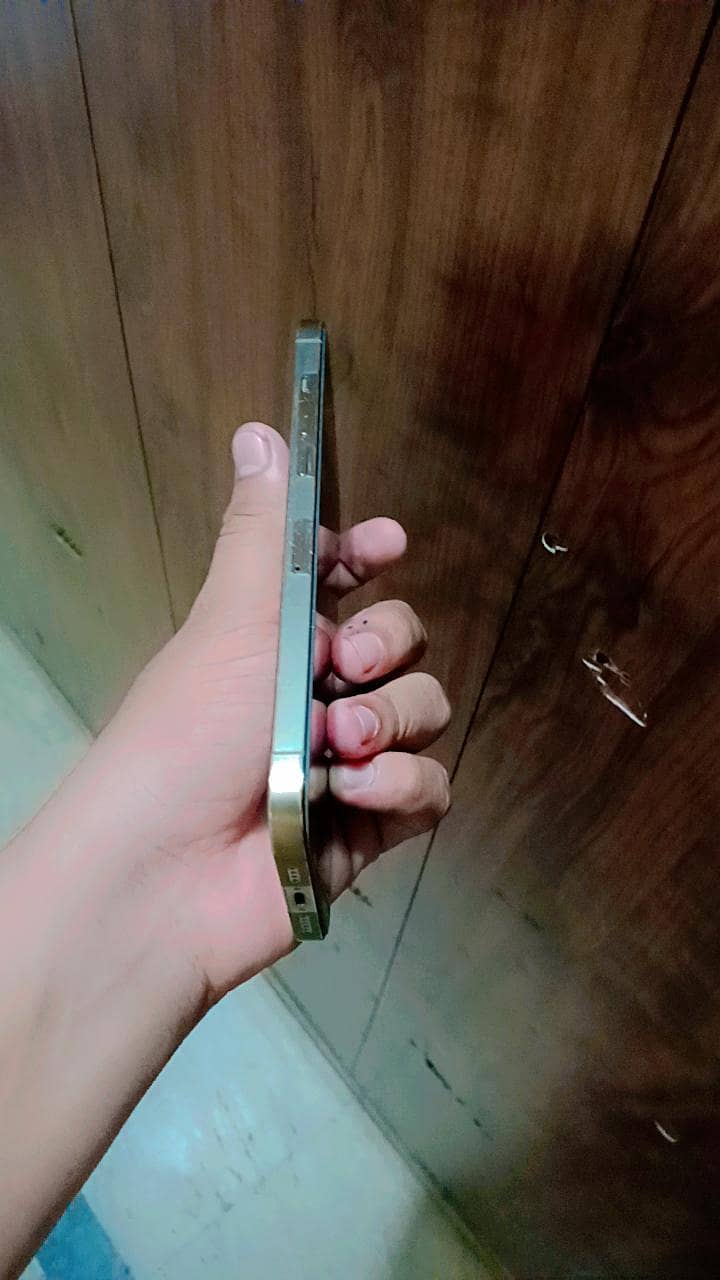 Apple iPhone 12 Pro Max 2
