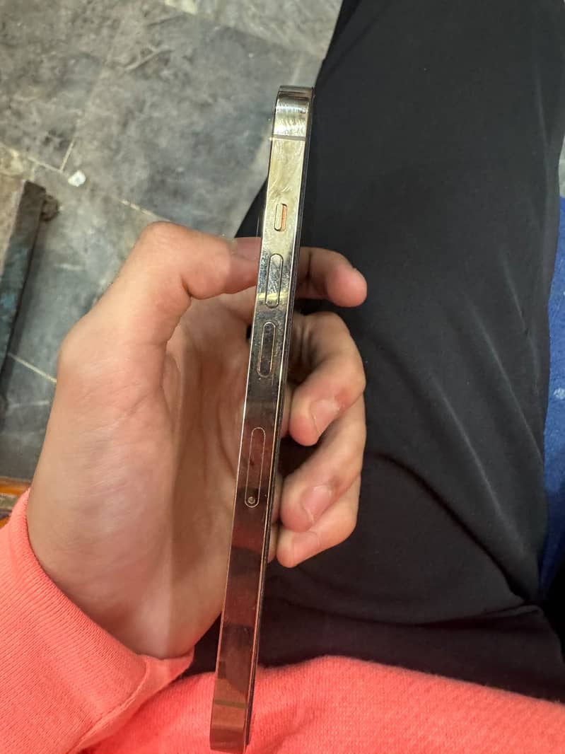 Apple iPhone 13 Pro 0