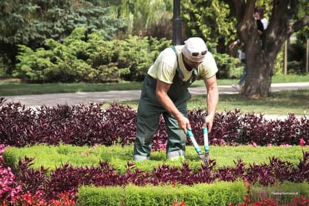 Gardner Services_Grass Cutting_Land Scaping _Askari,DHA,Bahria RWP