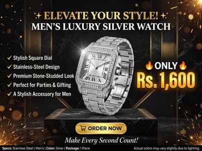 men's watch