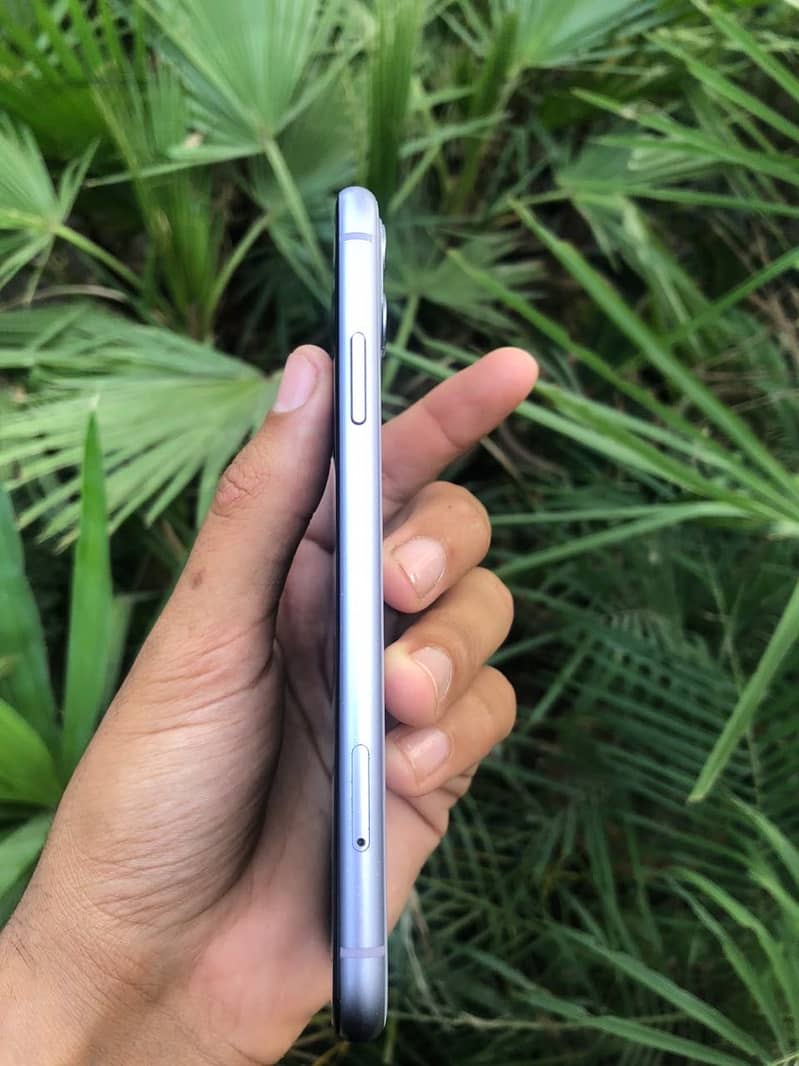 Apple iPhone 11 3