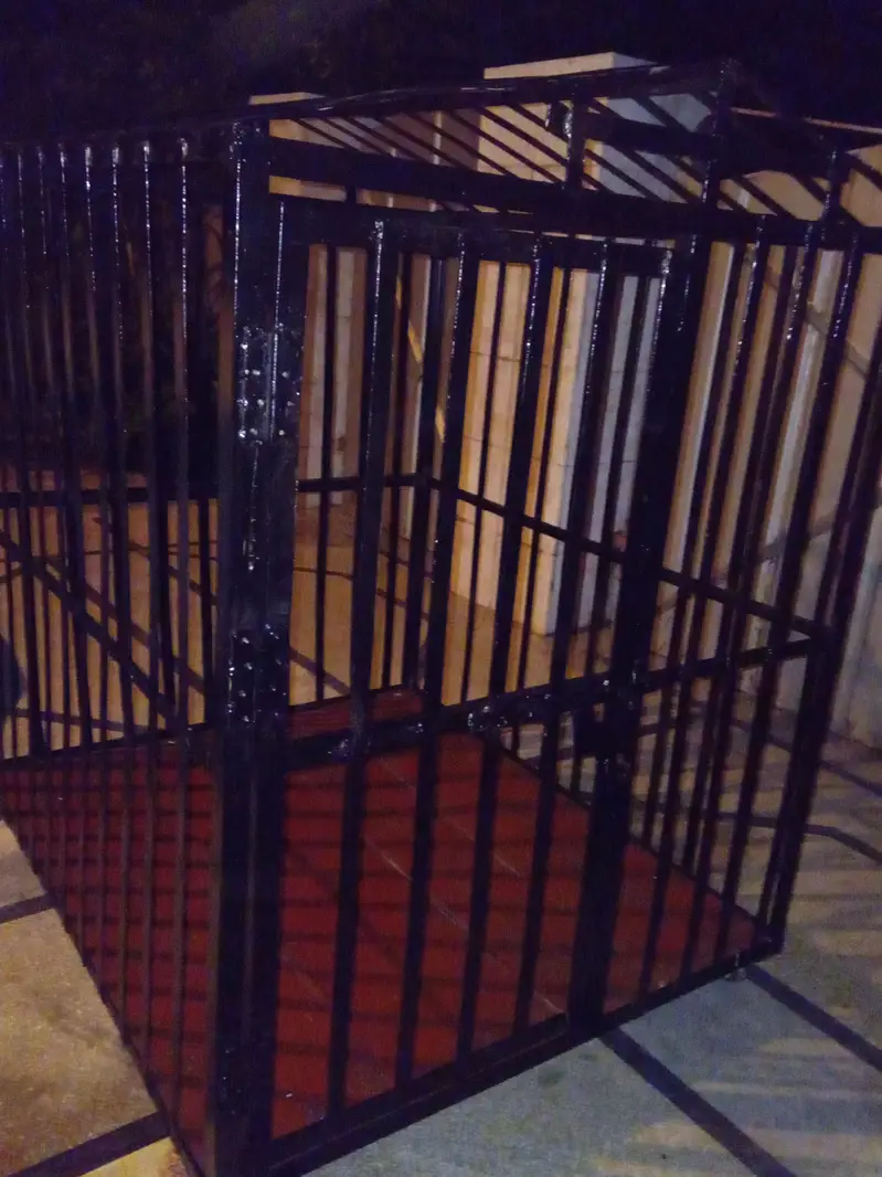 Cages | Dog cage | Pet cages | Hens cages | Cage for sale — photo 3