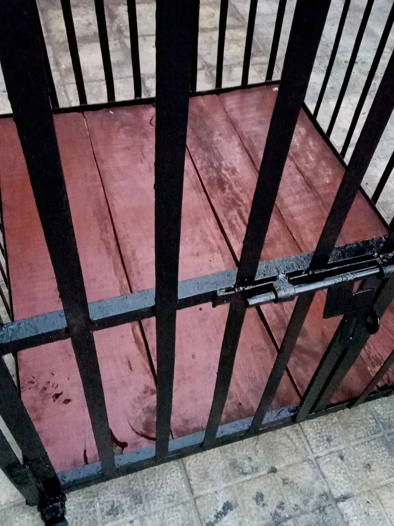 Cages | Dog cage | Pet cages | Hens cages | Cage for sale — photo 6