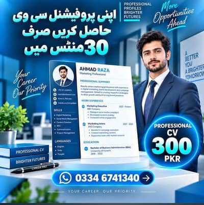 professional CV