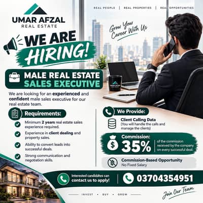 MALE REAL ESTATE SALES EXECUTIVE