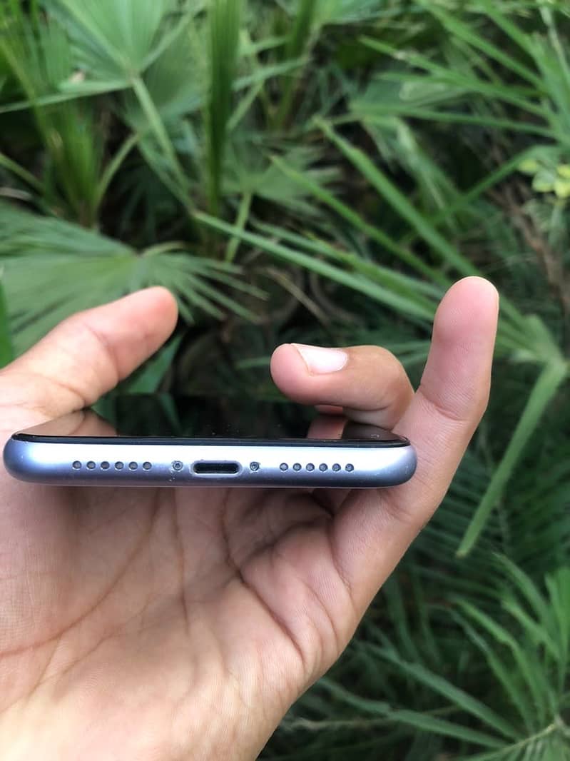 Apple iPhone 11 3