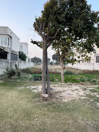 Plot Nos. 74, 75 & 76 | Prime Location | Investment Opportunity 3 Kanal Residential Plots for Sale DHA Phase 7, Block S, Lahore