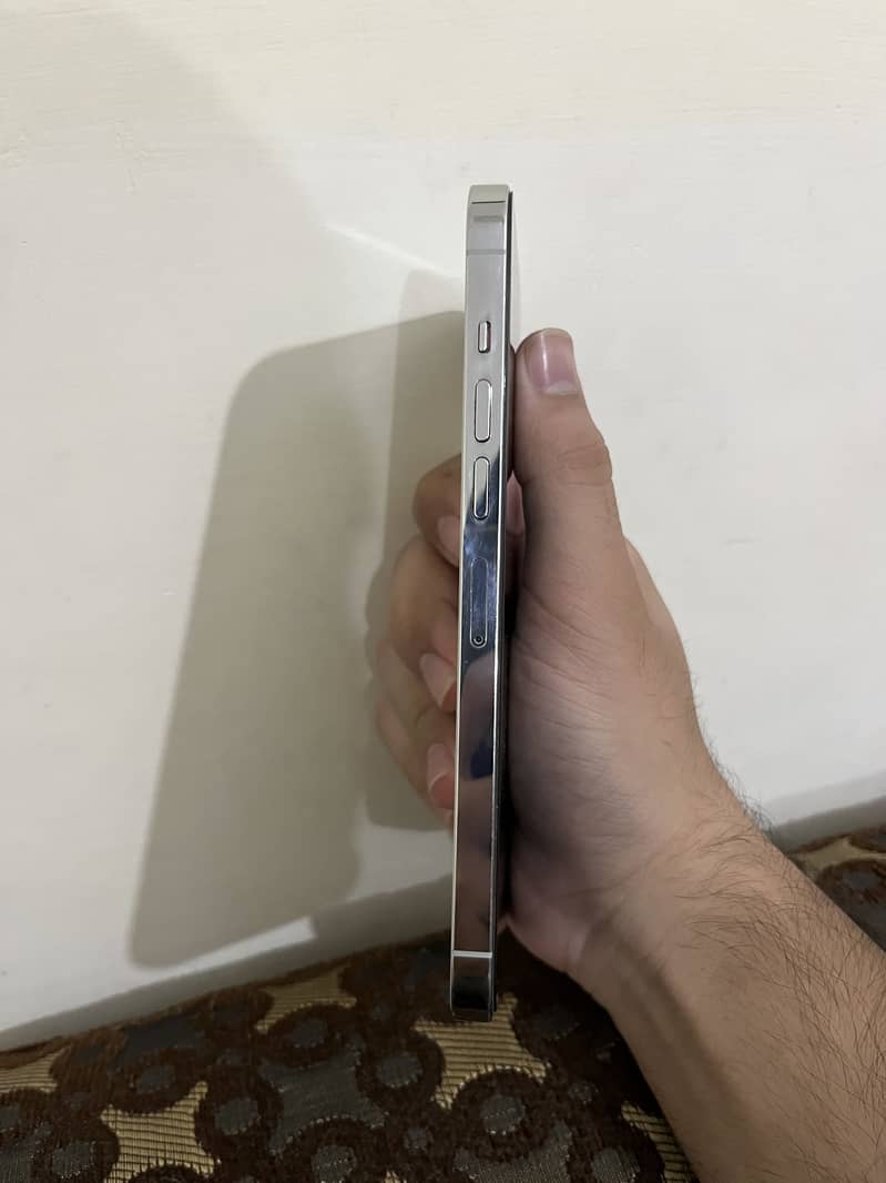 Apple iPhone 13 Pro Max 1