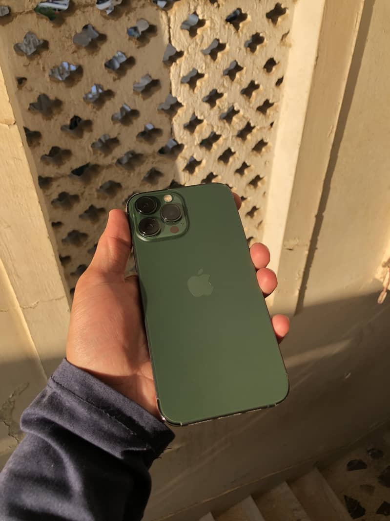 Apple iPhone 13 Pro Max 10
