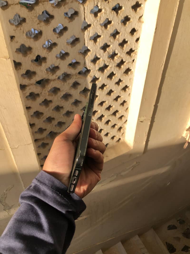 Apple iPhone 13 Pro Max 12