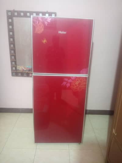 Hair Glass Door