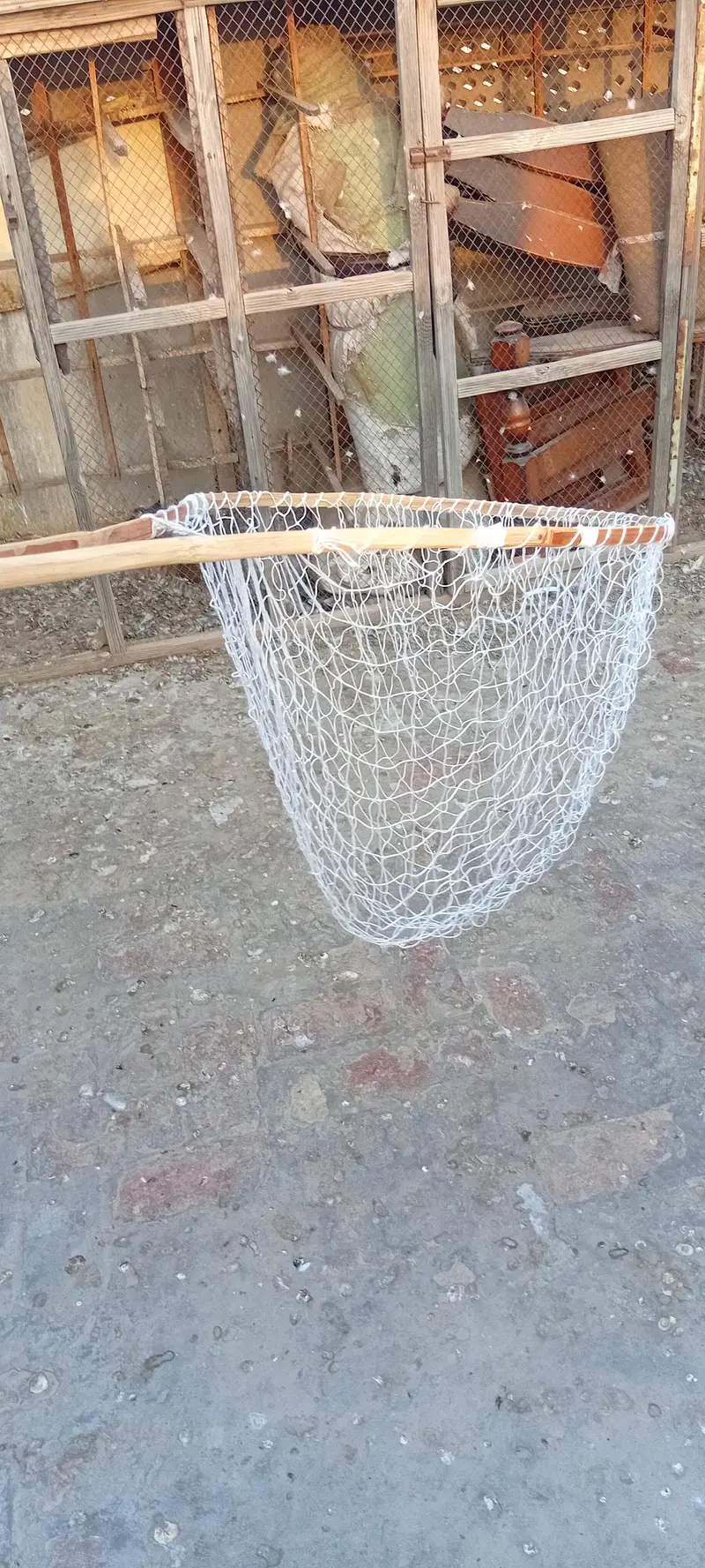 Vip chapka in pigeon and parrots cage full hard iron cage — photo 2