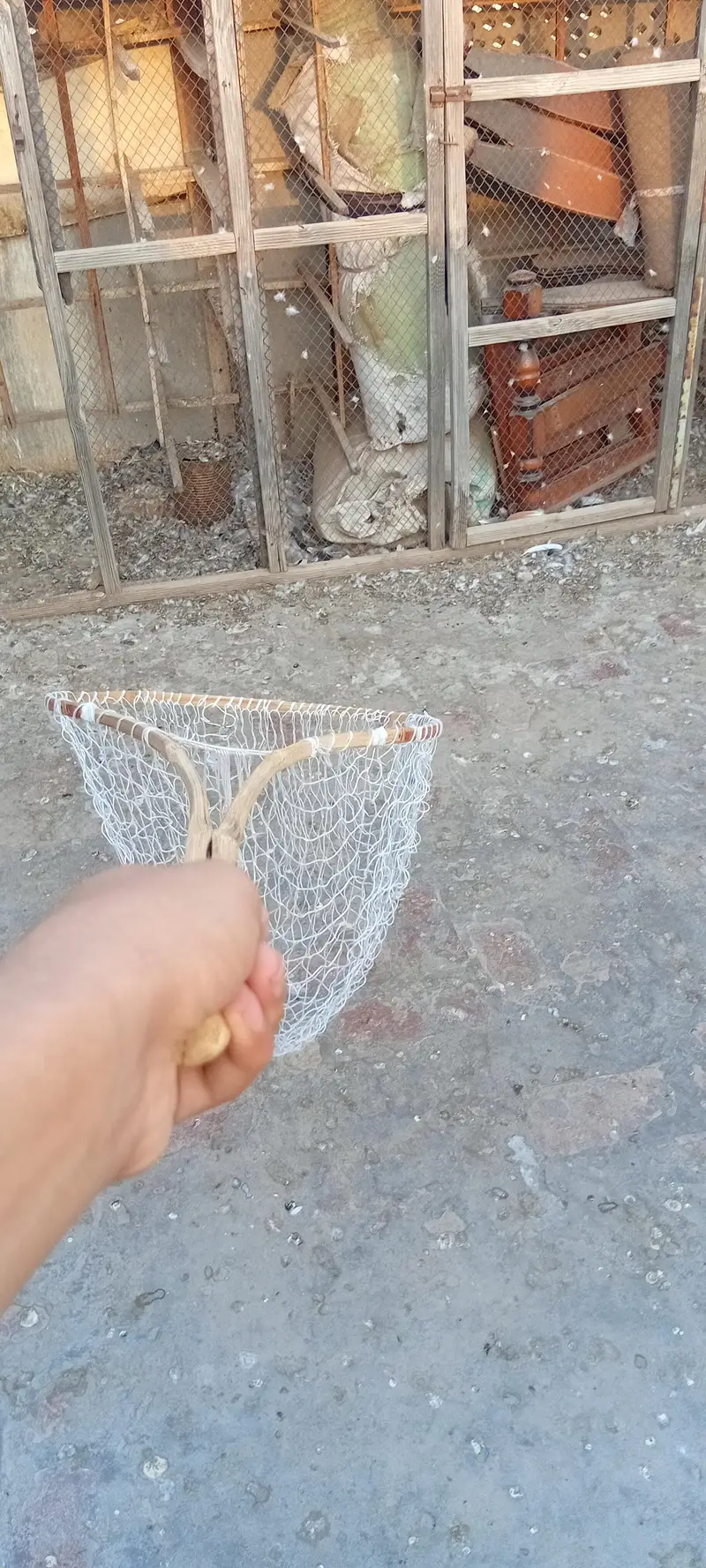 Vip chapka in pigeon and parrots cage full hard iron cage — photo 5